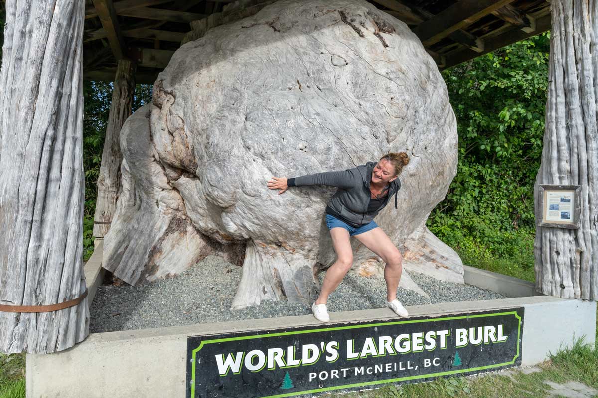 Burl di Ride dell'isola di Vancouver settentrionale