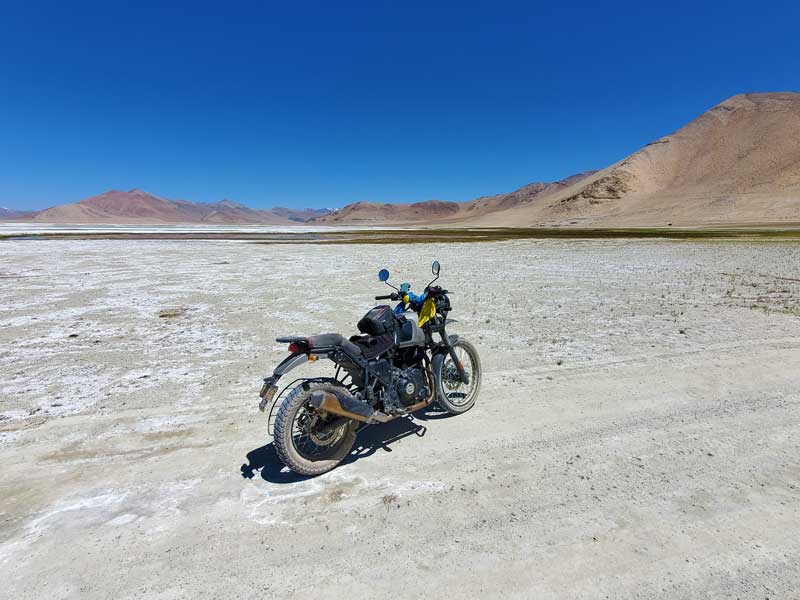 In sella all'Himalaya sugli himalayani tso moriri