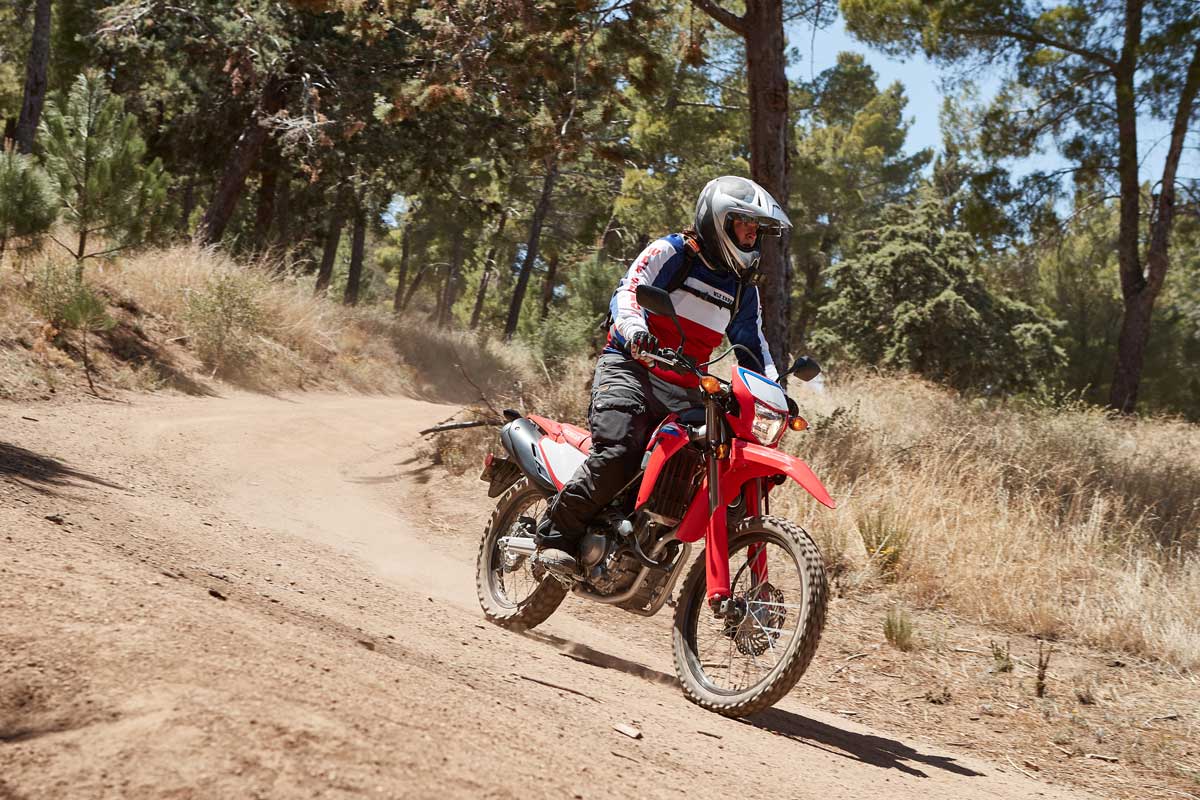 Beginner Bikes Honda CRF300LS