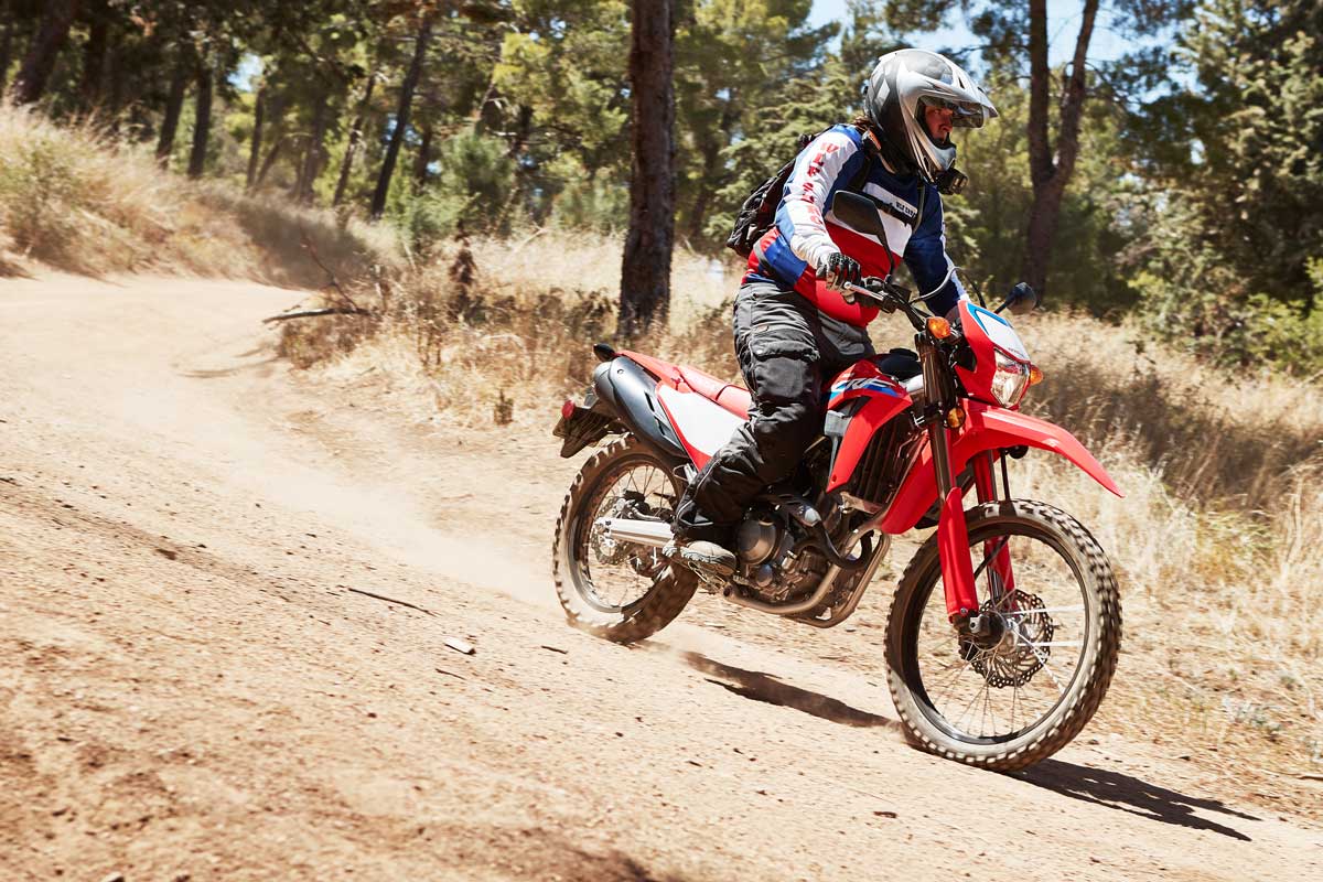 Honda CRF300L Rally Review Twisty