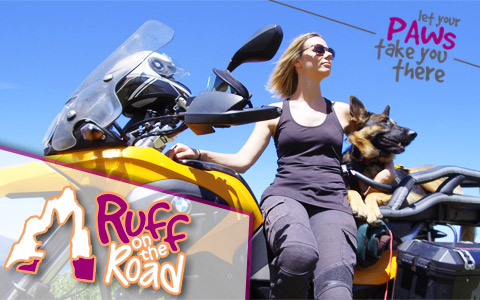 ruff-on-the-road-jessica-stone