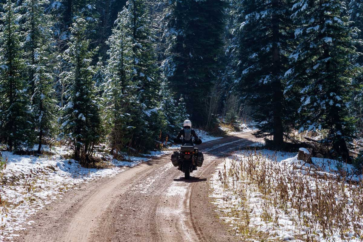 Getting Real in WY snow