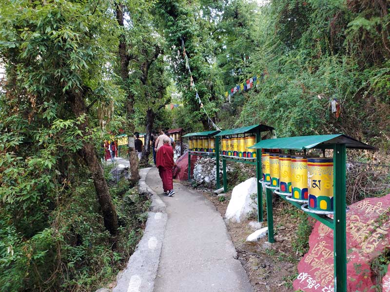 Cavalcando in Himalaya sugli himalayani Cavalcando in Himalaya sugli himalayani