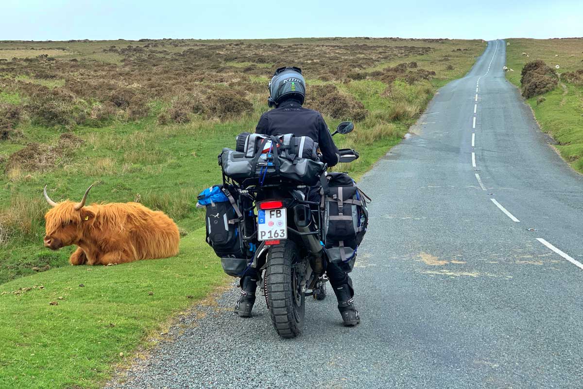 Moto Camping Scotland animal