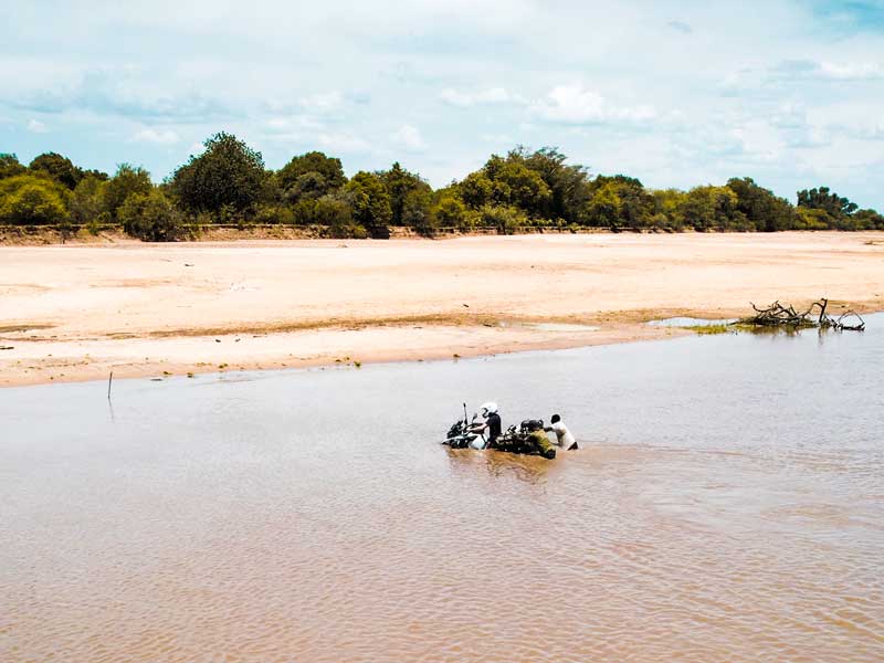 UK to Cape Town No Exp crocodile