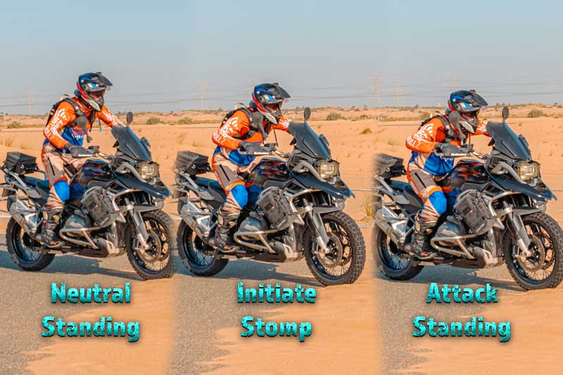 Sandy Patches Strategies posture