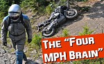 Four MPH Brain intro