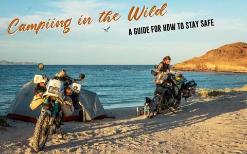 Camping in the Wild Tips full